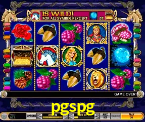 VIP Casino pgspg